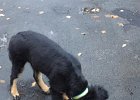 IMG-20181124-WA0007