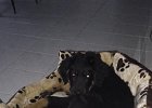 IMG-20181124-WA0008