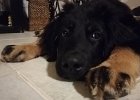 IMG-20181202-WA0013
