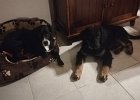 IMG-20181202-WA0014