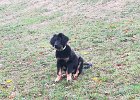 IMG-20181202-WA0016