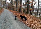 IMG-20181202-WA0017