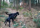 IMG-20181202-WA0018
